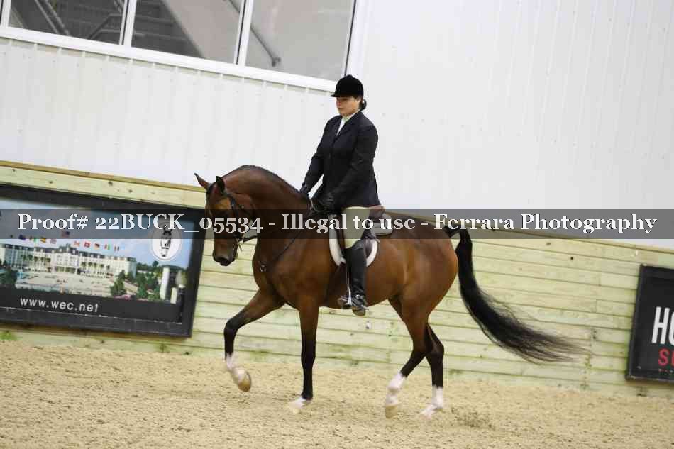 Proof 22BUCK_05534