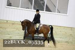 22BUCK_05535 proof