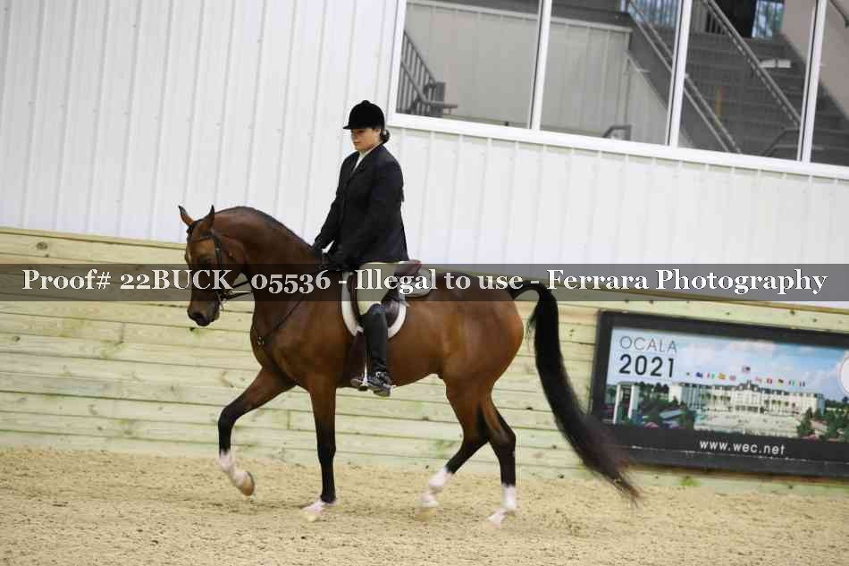 Proof 22BUCK_05536