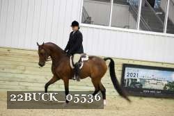 22BUCK_05536 proof
