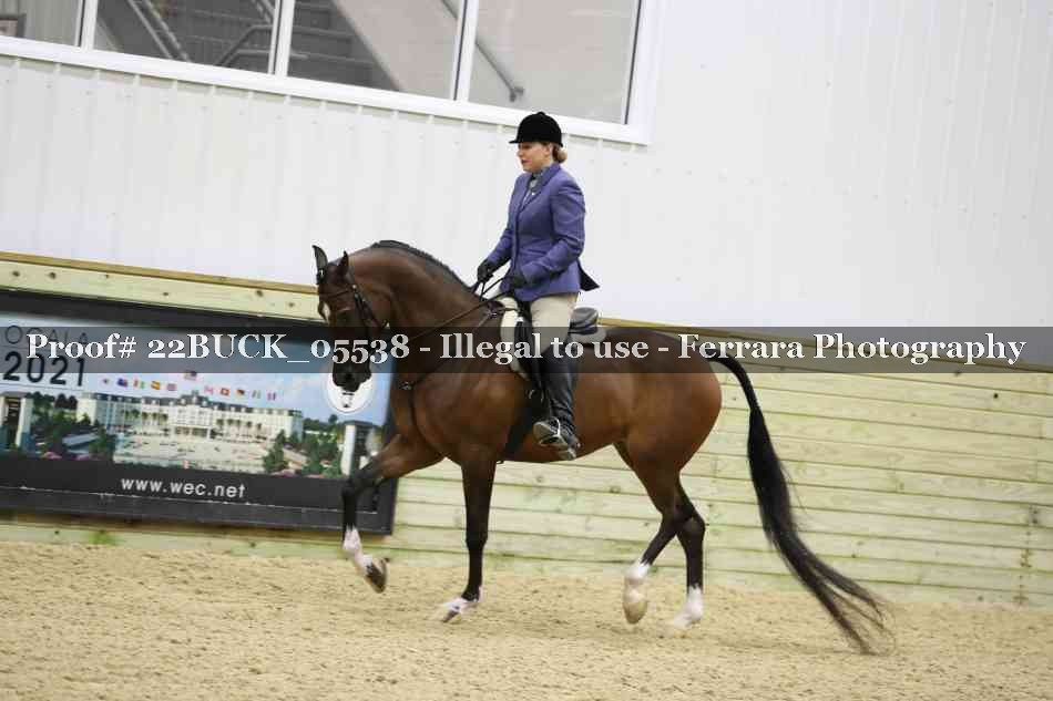 Proof 22BUCK_05538