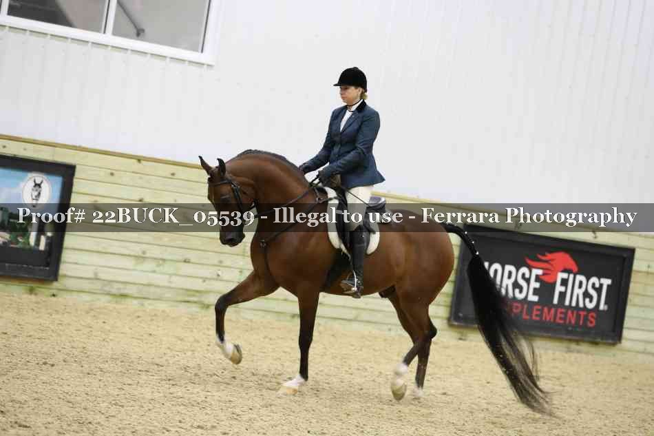 Proof 22BUCK_05539