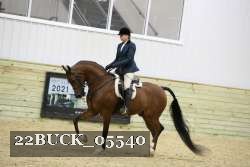 22BUCK_05540 proof