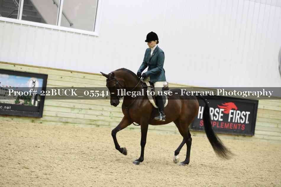 Proof 22BUCK_05541