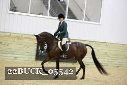 22BUCK_05542 proof