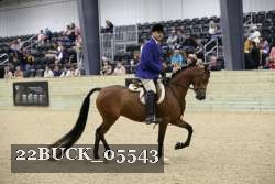 22BUCK_05543 proof