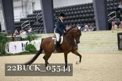 22BUCK_05544 proof