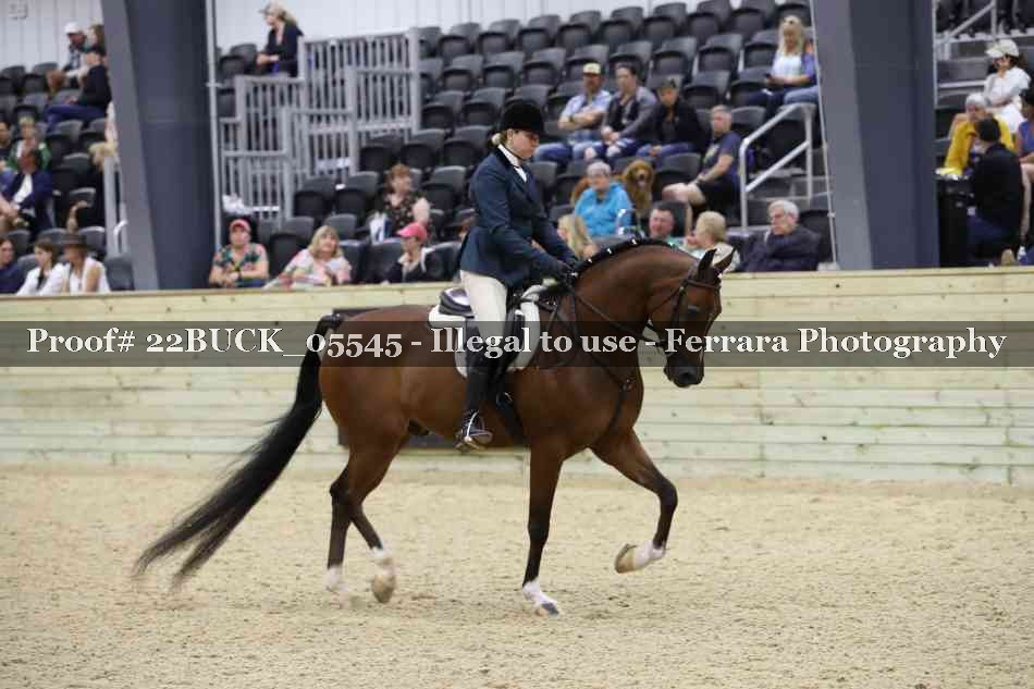 Proof 22BUCK_05545