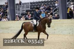 22BUCK_05545 proof