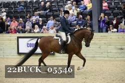 22BUCK_05546 proof
