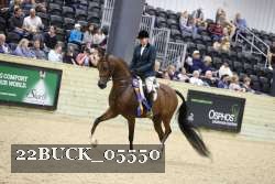 22BUCK_05550 proof