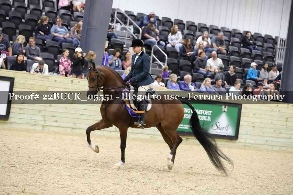 Proof 22BUCK_05551