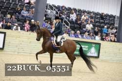 22BUCK_05551 proof