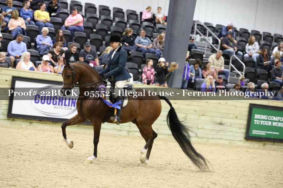 Proof 22BUCK_05552