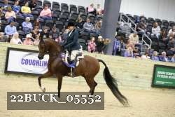 22BUCK_05552 proof