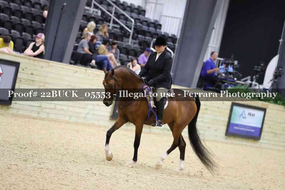 Proof 22BUCK_05553