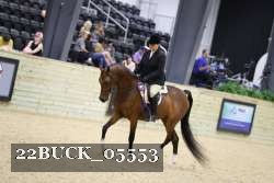 22BUCK_05553 proof