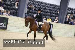 22BUCK_05554 proof