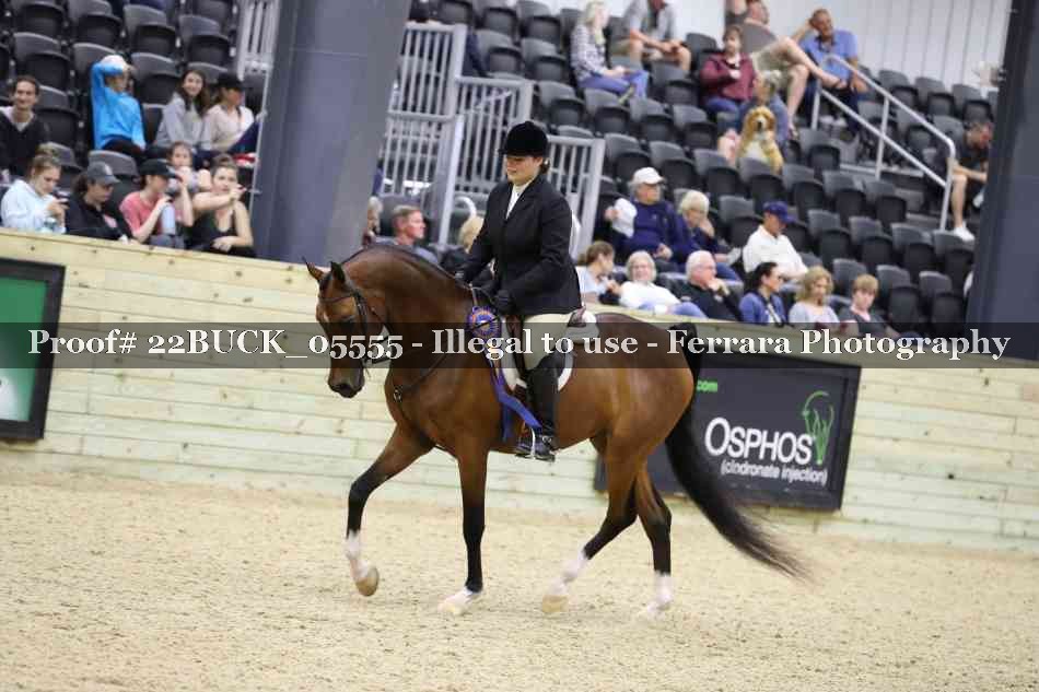 Proof 22BUCK_05555