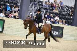 22BUCK_05555 proof