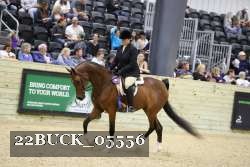 22BUCK_05556 proof