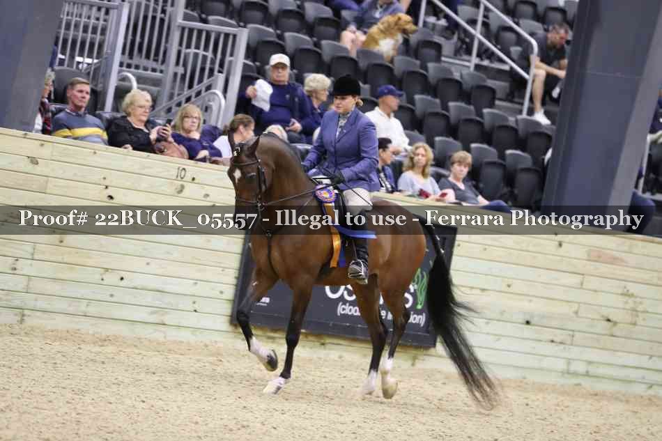 Proof 22BUCK_05557