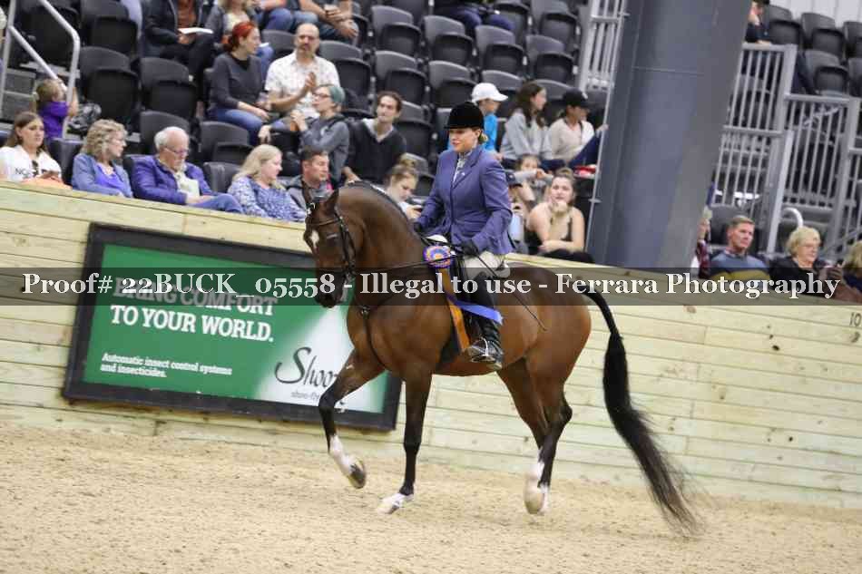 Proof 22BUCK_05558