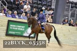 22BUCK_05558 proof