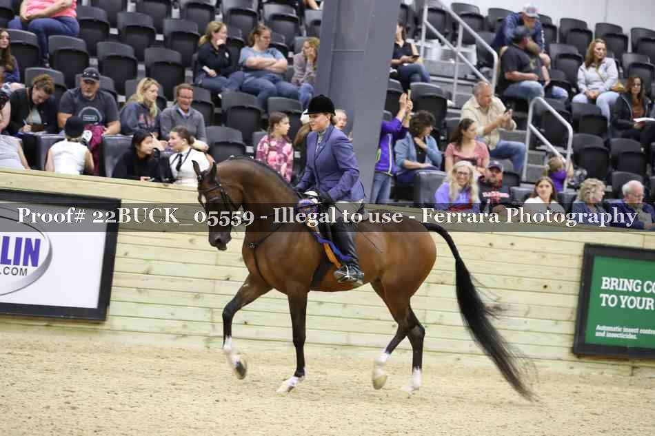 Proof 22BUCK_05559