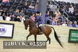 22BUCK_05559 proof