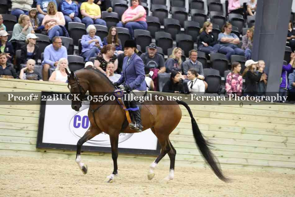 Proof 22BUCK_05560