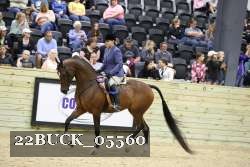 22BUCK_05560 proof