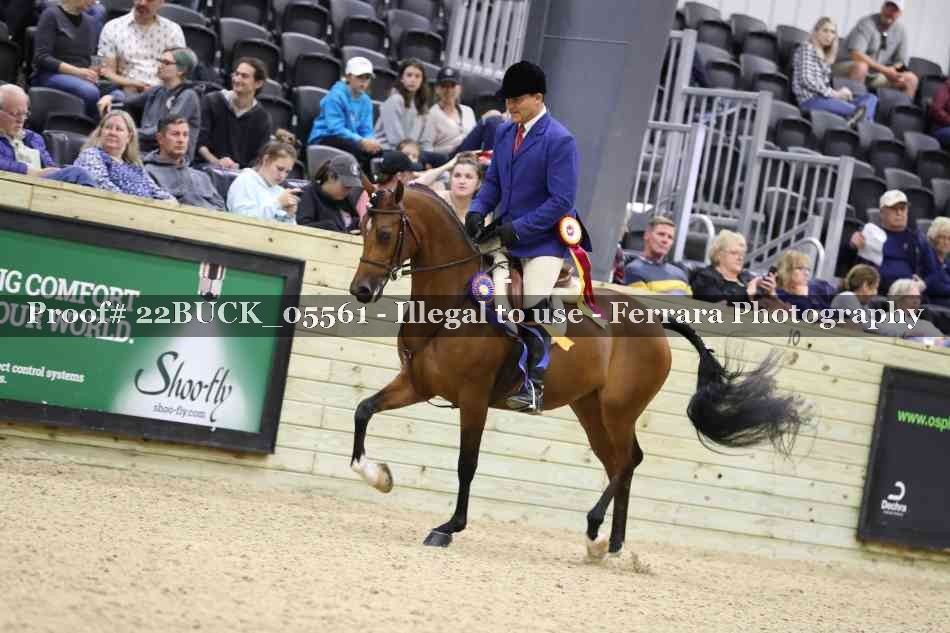 Proof 22BUCK_05561