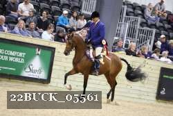 22BUCK_05561 proof