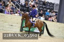 22BUCK_05562 proof
