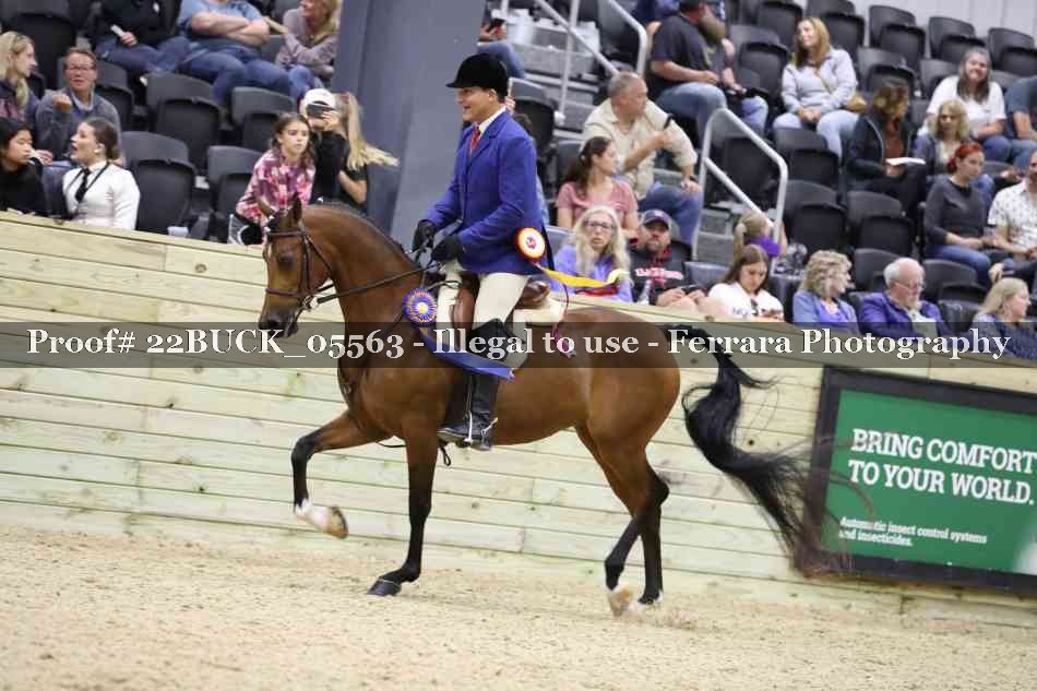 Proof 22BUCK_05563