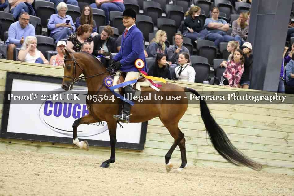 Proof 22BUCK_05564
