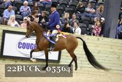 22BUCK_05564 proof