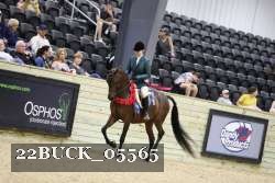 22BUCK_05565 proof