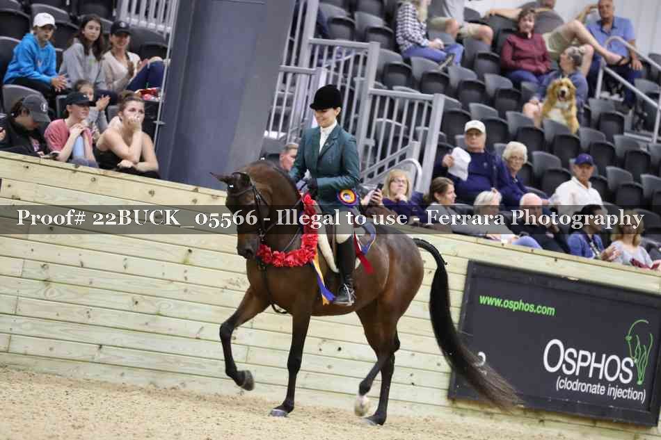 Proof 22BUCK_05566