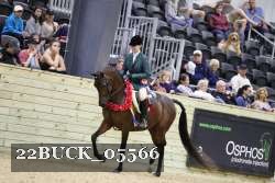 22BUCK_05566 proof