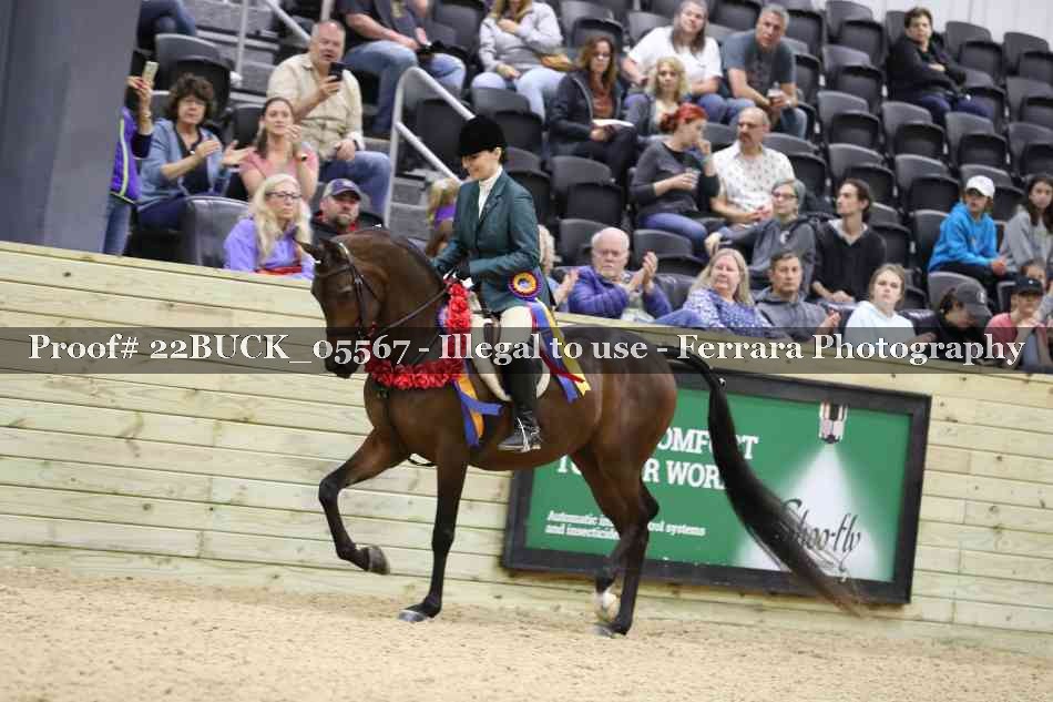 Proof 22BUCK_05567
