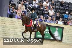 22BUCK_05567 proof