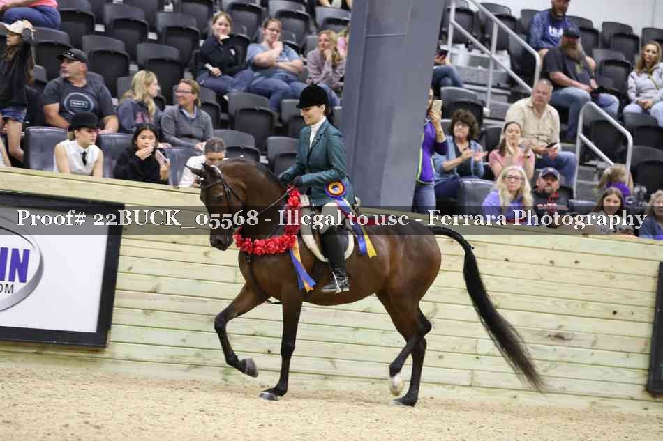 Proof 22BUCK_05568
