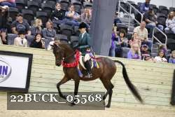 22BUCK_05568 proof