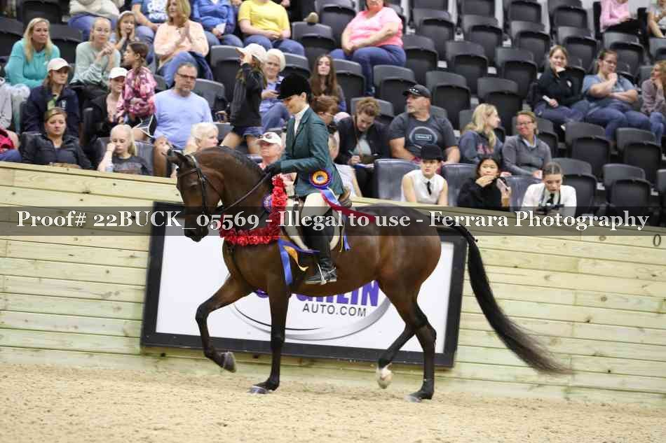 Proof 22BUCK_05569