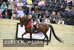 22BUCK_05569 proof