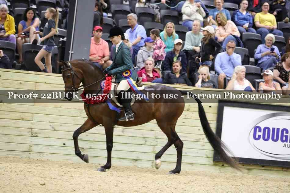 Proof 22BUCK_05570