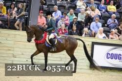 22BUCK_05570 proof