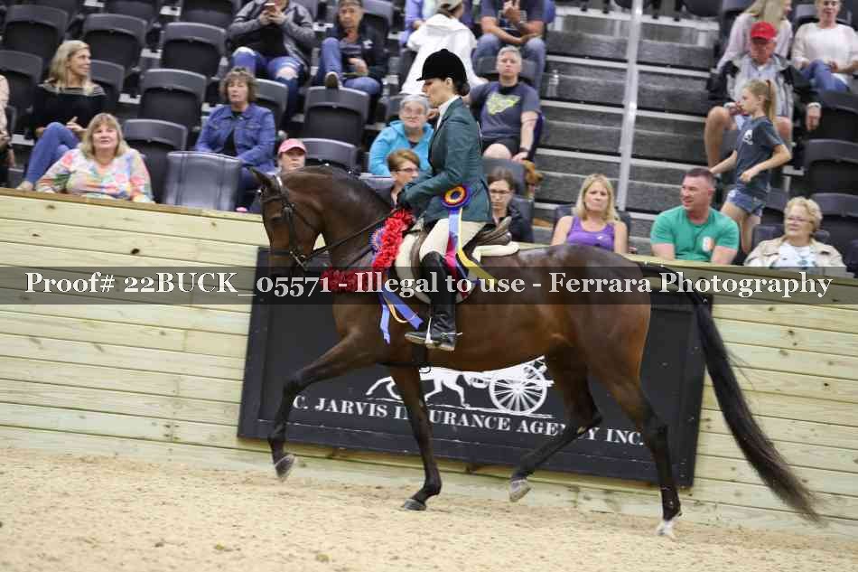 Proof 22BUCK_05571